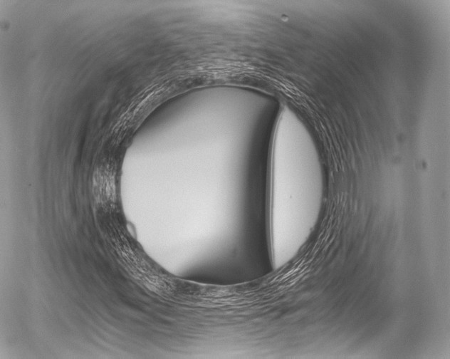 X0000056381155200508260938