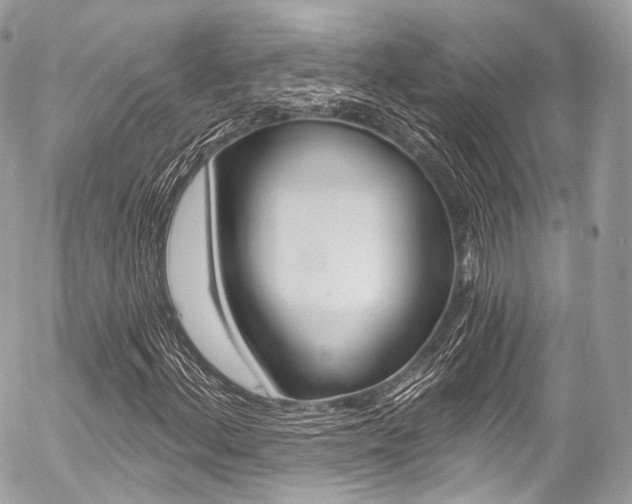 X0000056381156200508260938
