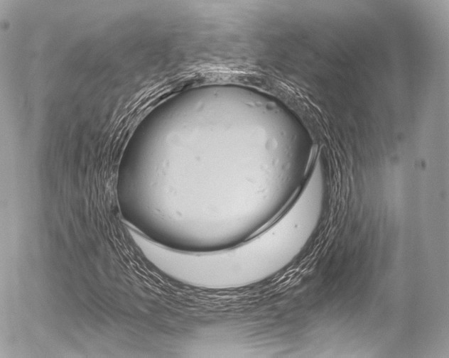 X0000056381157200508260938