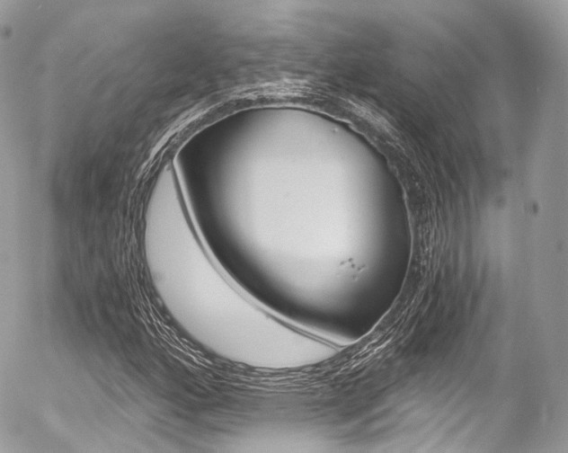 X0000056381160200508260938
