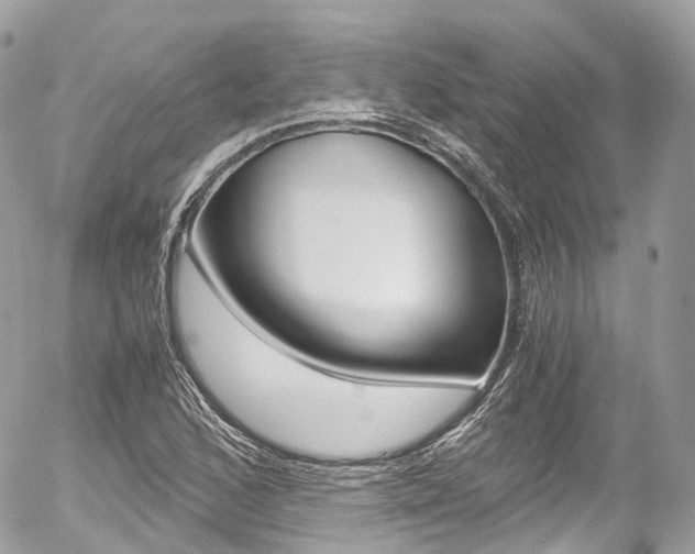 X0000056381168200508260938