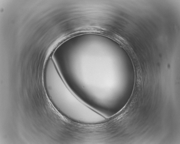 X0000056381188200508260938