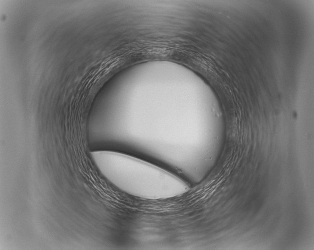 X0000056381201200508260937
