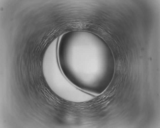 X0000056381202200508260937