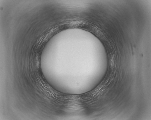 X0000056381204200508260937