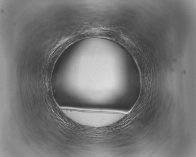 X0000056381206200508260937