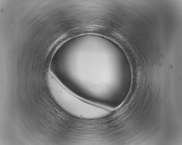 X0000056381210200508260937