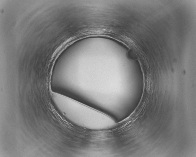 X0000056381212200508260937