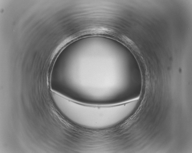 X0000056381226200508260937
