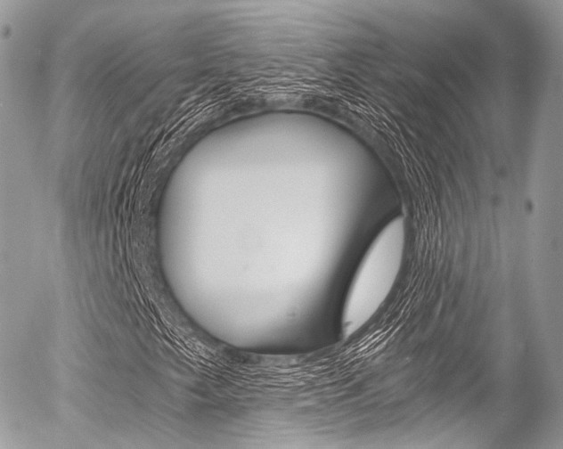 X0000056381249200508260937