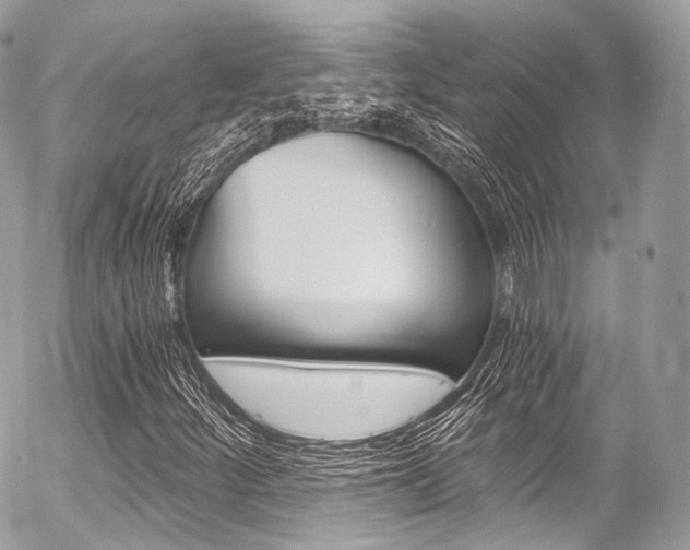 X0000056381252200508260937