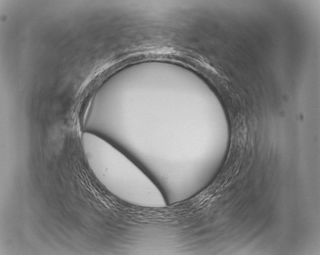 X0000056381255200508260937