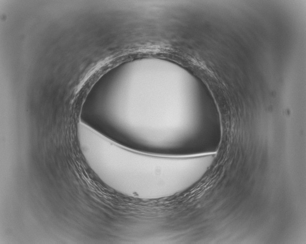 X0000056381256200508260937