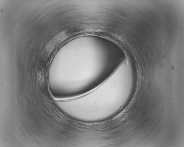 X0000056381257200508260937