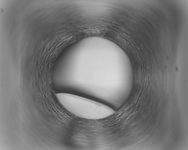 X0000056381297200508260935