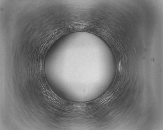 X0000056381299200508260935