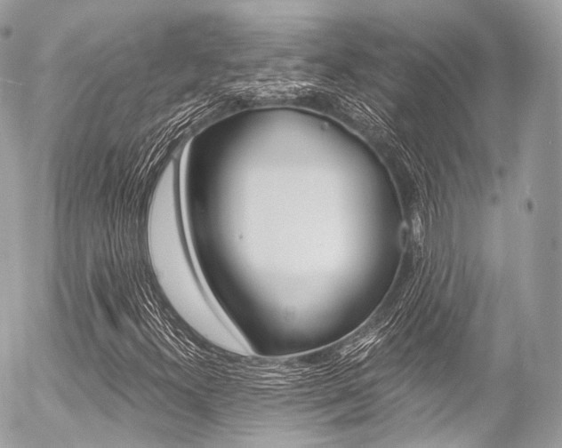 X0000056381300200508260935