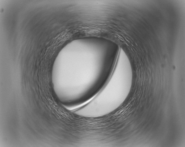 X0000056381345200508260935