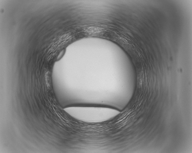 X0000056381346200508260935