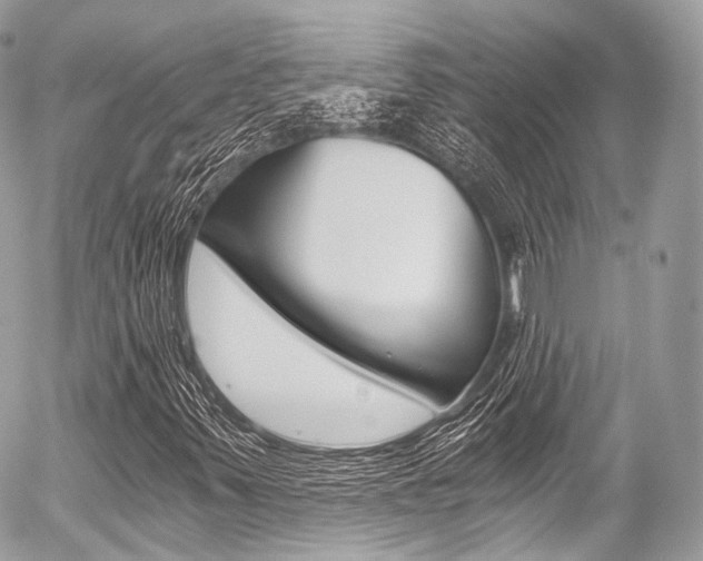 X0000056381347200508260935