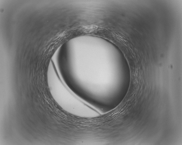 X0000056381349200508260935