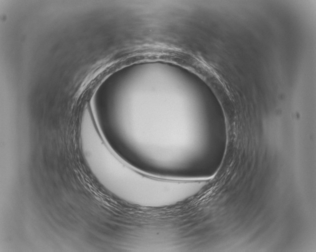 X0000056381352200508260935