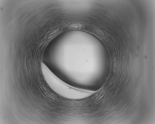 X0000056381394200508260934