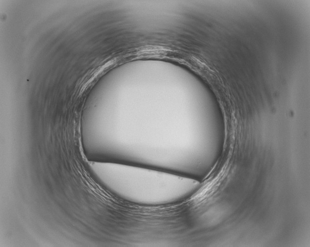 X0000056381401200508260934