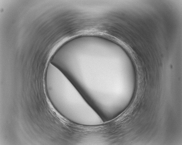 X0000056381440200508260934