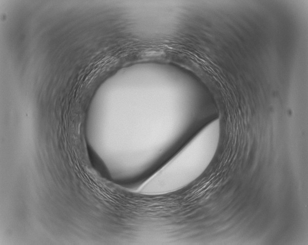 X0000056381441200508260934