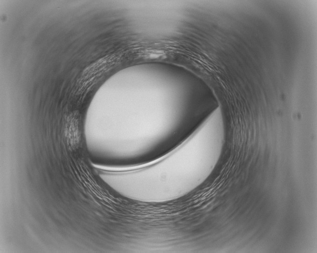 X0000056381442200508260934