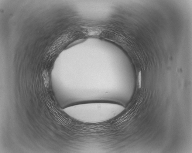 X0000056381443200508260934