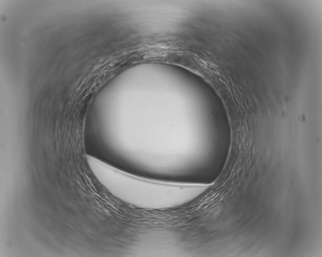 X0000056381445200508260934