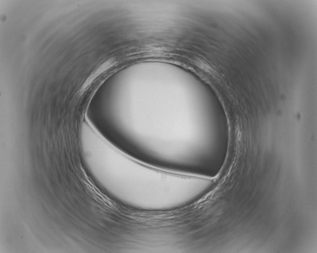 X0000056381450200508260933