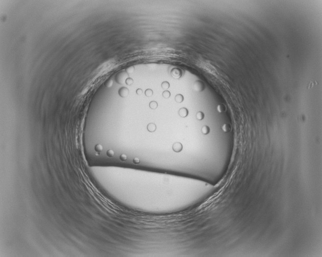 X0000056381451200508260933