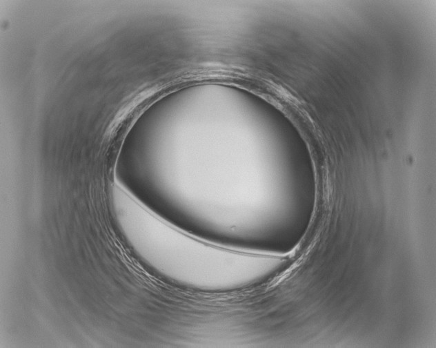 X0000056381453200508260933