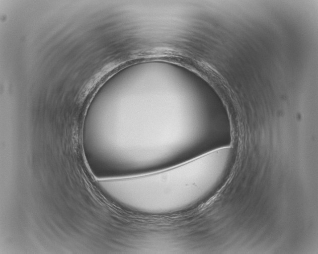 X0000056381457200508260933
