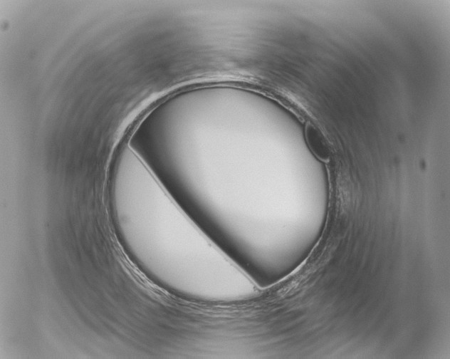X0000056381460200508260933