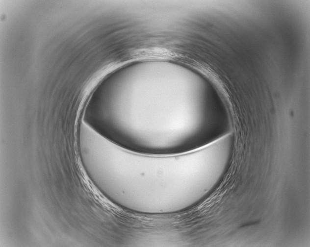 X0000056381488200508260933