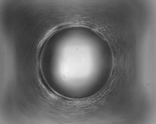 X0000056380005200508261212