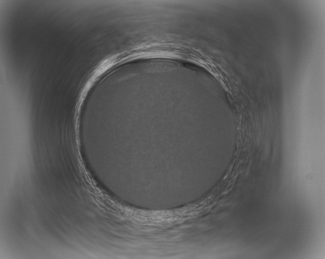 X0000056380006200508261212