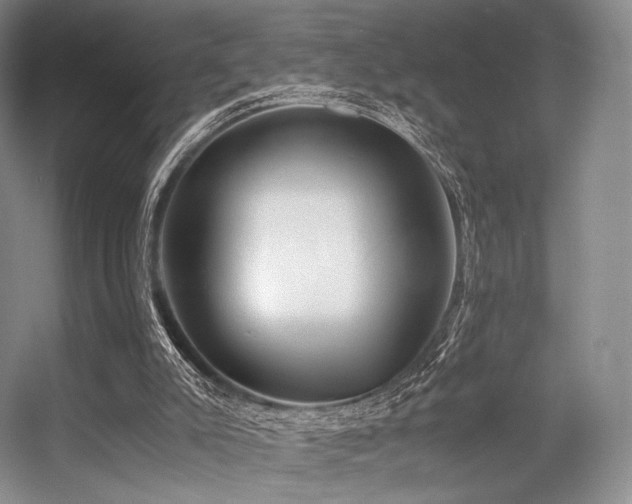 X0000056380007200508261212
