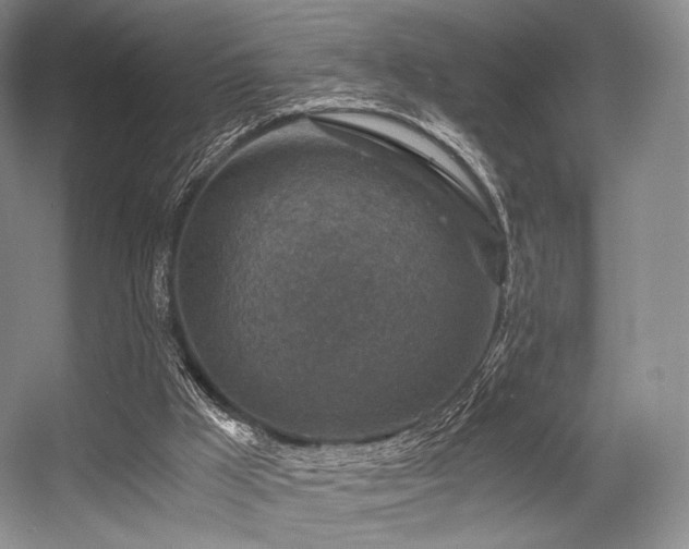 X0000056380009200508261212