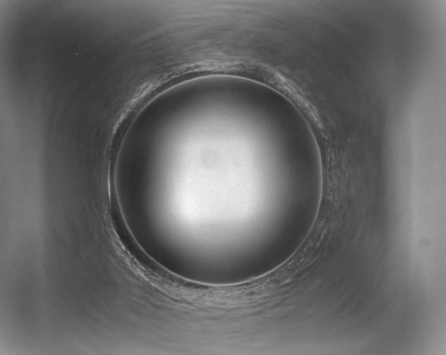 X0000056380011200508261212
