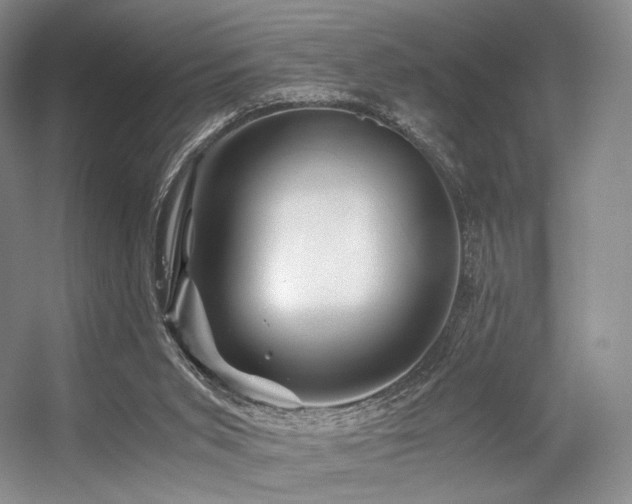X0000056380015200508261212