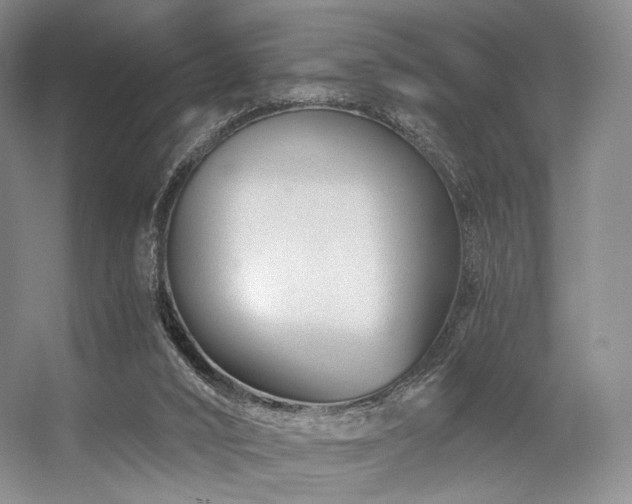 X0000056380016200508261212