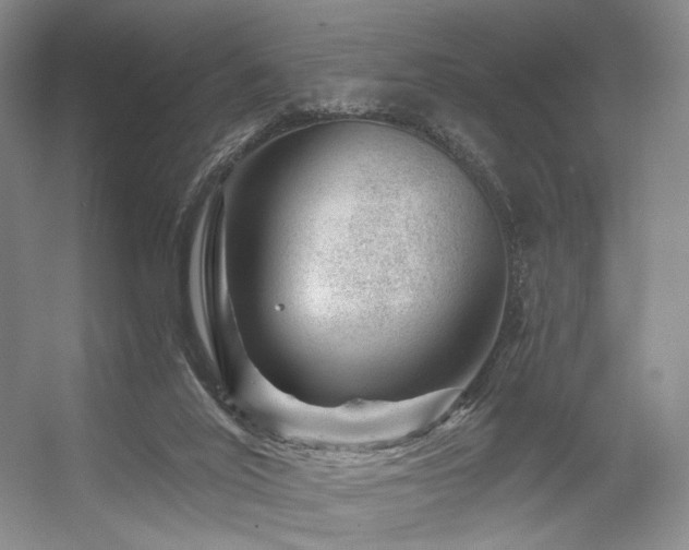 X0000056380020200508261212