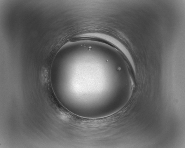 X0000056380025200508261212