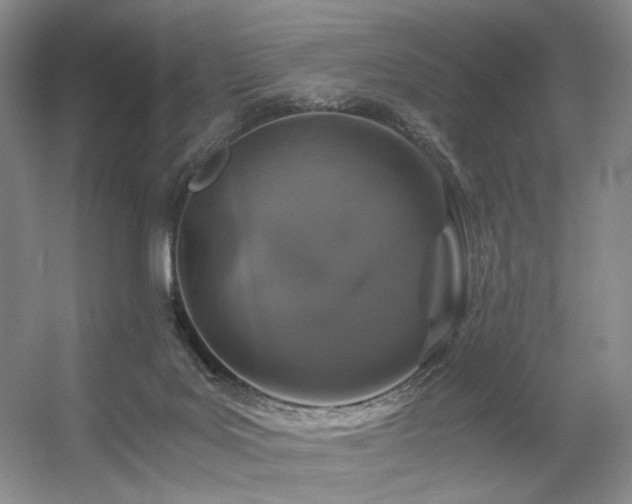 X0000056380027200508261212