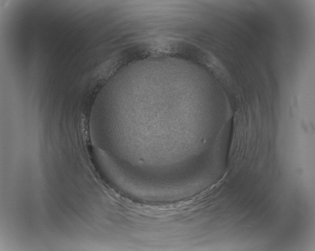 X0000056380029200508261212